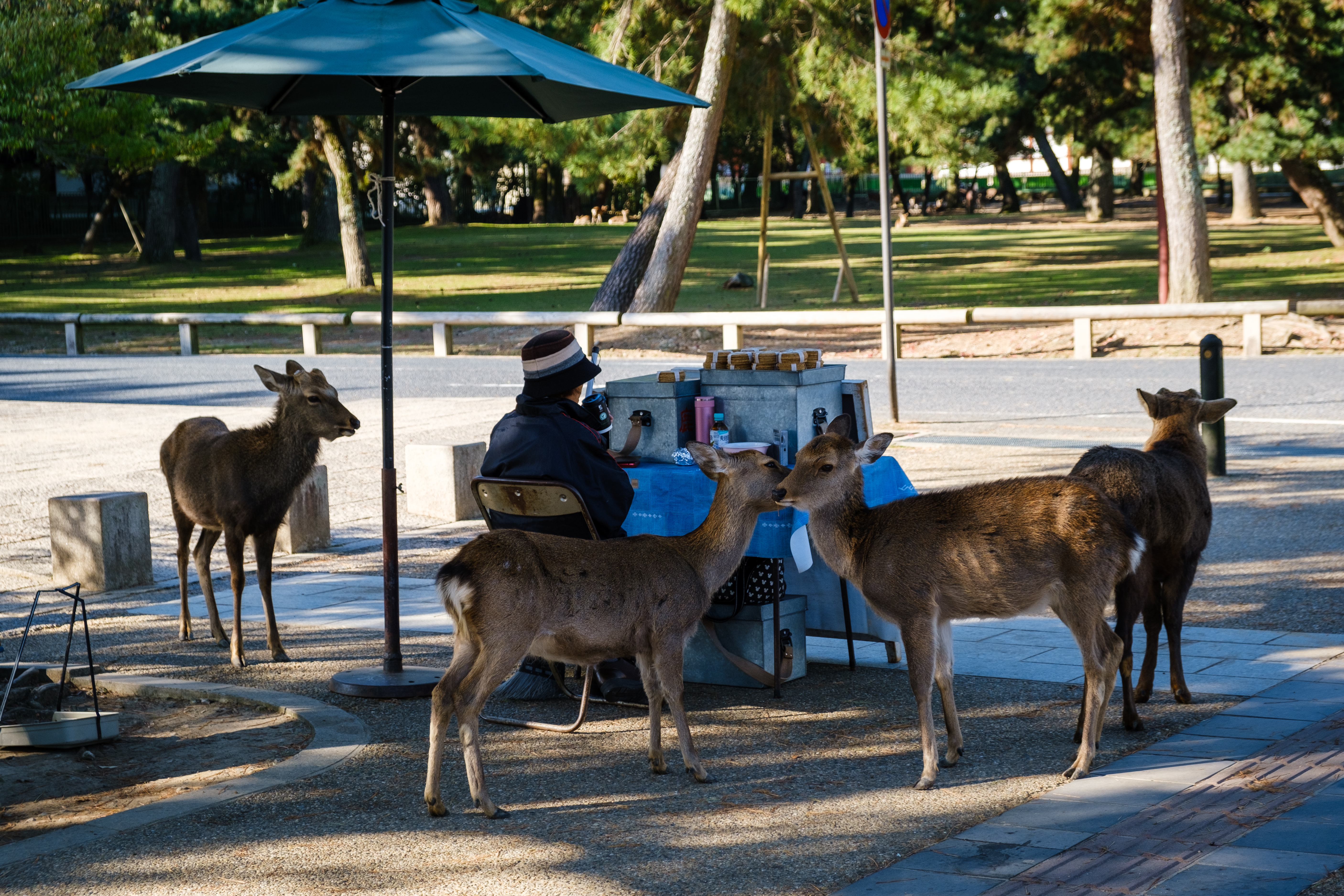 91bbe246e1a86f708b78bb297b59eafd