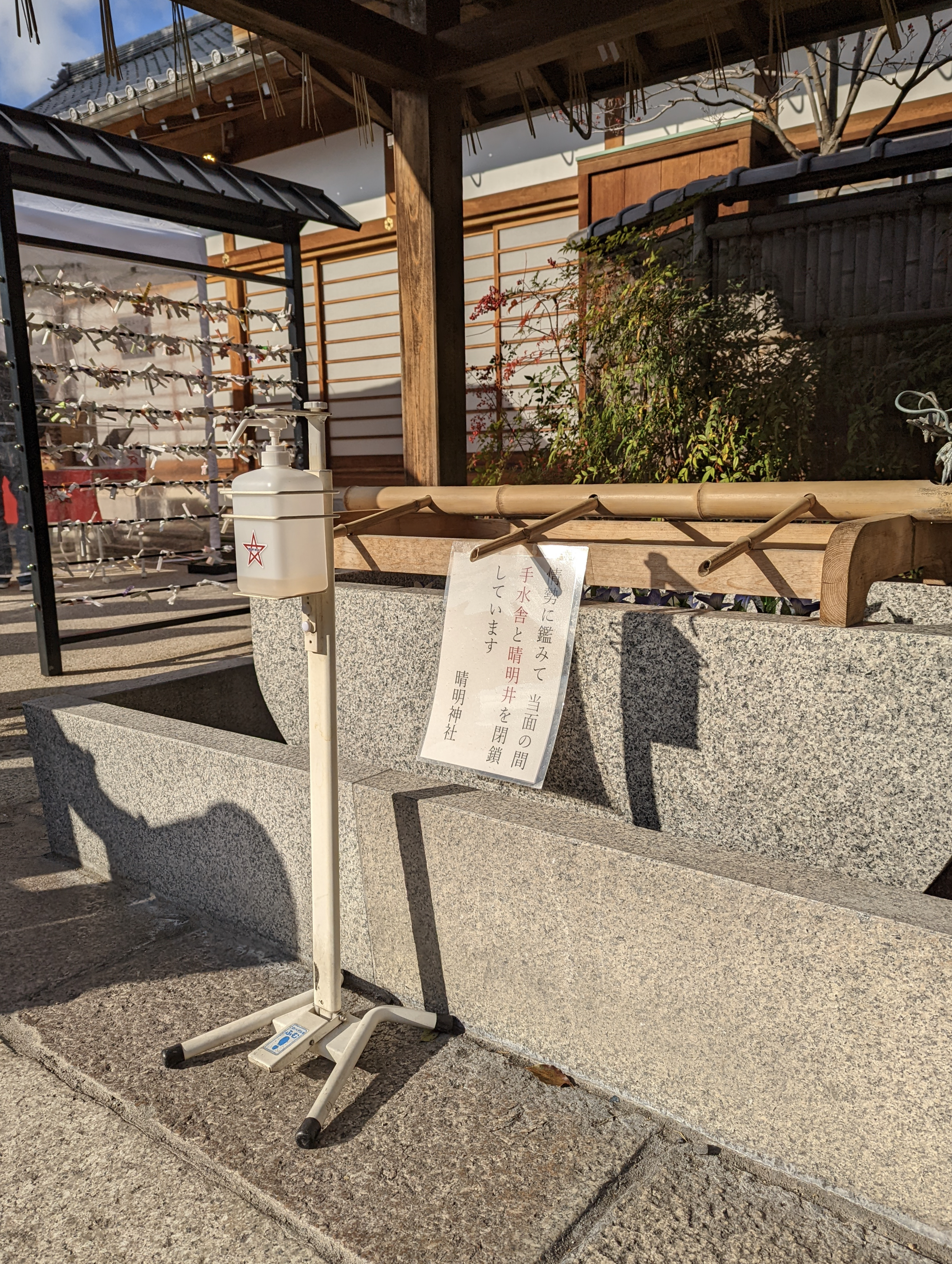 PXL_20220102_051538941 Edited