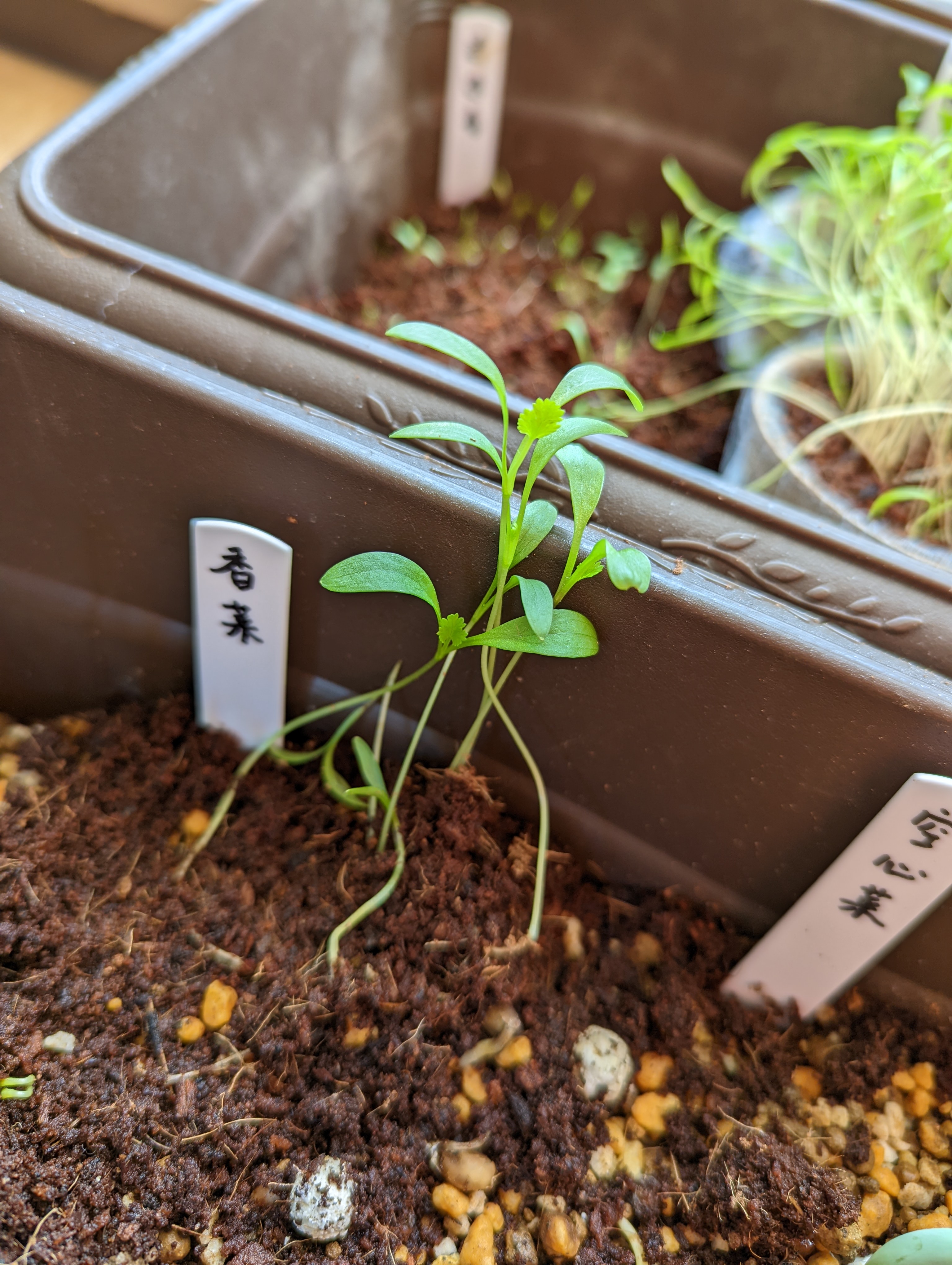 PXL_20220103_012416109