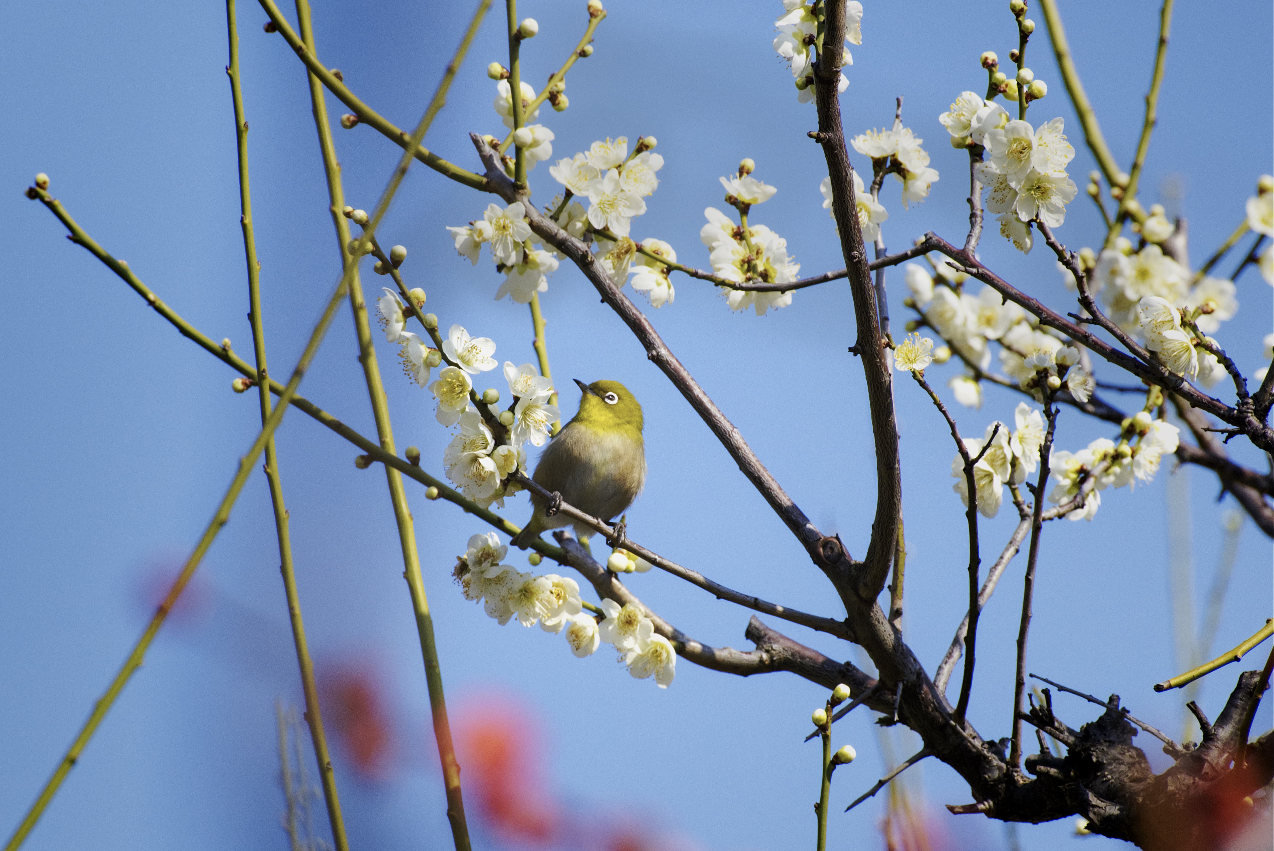 _DSF4565 Edited 2 (1)