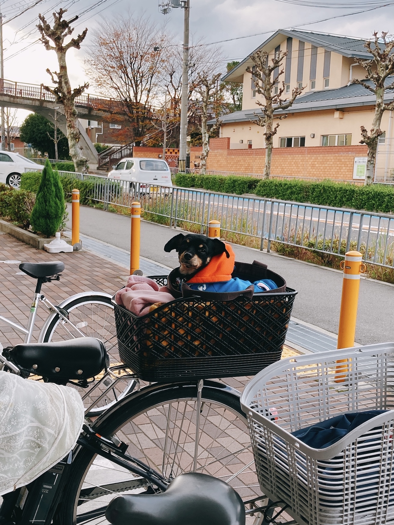 e1770a7f9fe4a7854a6d405e14764784